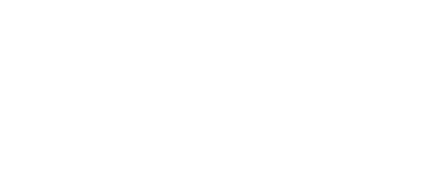 Life of Pi logo