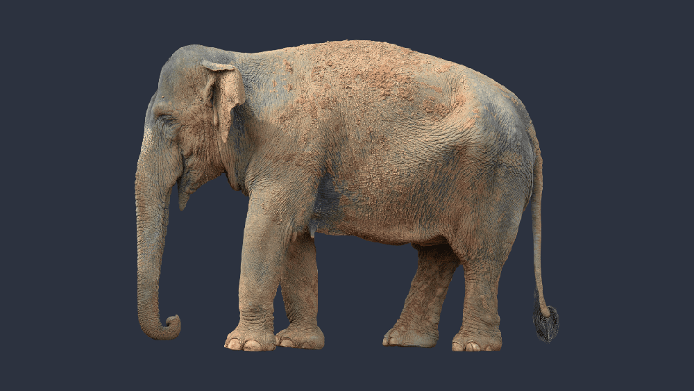 The (augmented reality) elephant in the ballroom poster